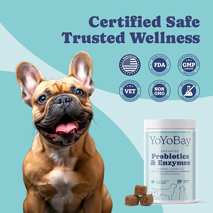 Probiotics for Dogs, Dog Probiotics and Digestive Enzymes, Pre & Probiotics over 1 Billion CFUs, for Gut Health and Digestive Health, Itchy Skin Relief, Immune Support, 60 Soft Chews