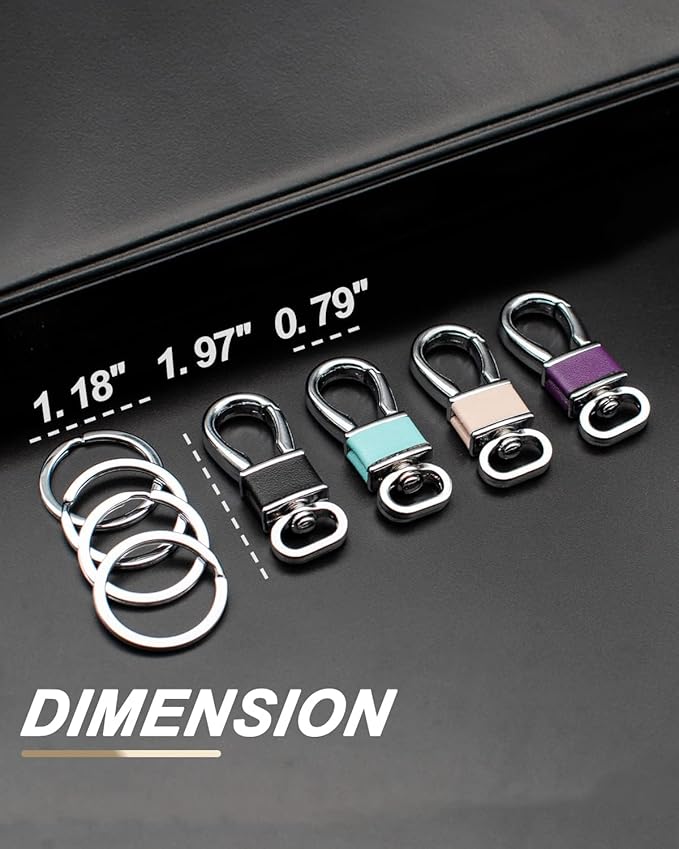 FEYOUN 4 Pack Metal Carabiner Keychain Key Clip Hook, 4 Key Rings Car Key Chain Clips Ring Holder Organizer for Men and Women, Car Accessories, Multi Color