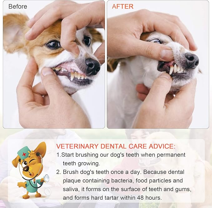 Double Headed Pet Dog Toothbrush for Small Dogs/Soft Bristles Puppy Long Handle Tooth Brush Dogs Teeth Cleaning/Bulk Toothbrushes Dental & Oral Care… (MIXED10)