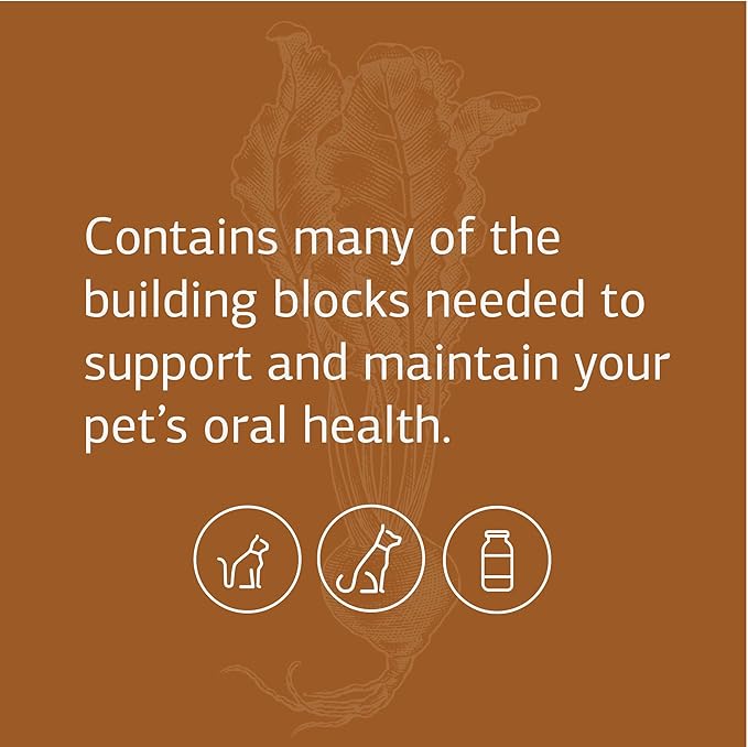 Standard Process - VF Bio-Dent for Pets - Support Oral Health for Dogs and Cats - with Calcium, Phosphorus, Manganese - 90 Tablets