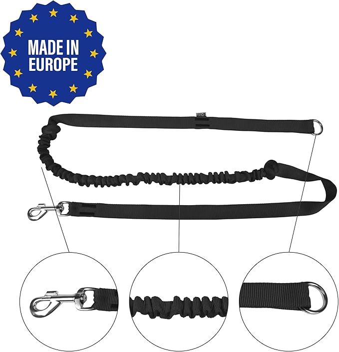 Dingo hands free leash belt for dog walking running hiking, training leash for large dog, bungee leash for medium dog, comfortable adjustable belt for walking with small dog, handle with o-ring Z30004