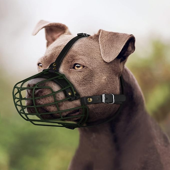 Pitbull Dog Muzzle Metal Mask Amstaff Secure Wire Basket Adjustable Durable Leather Straps for Large Dogs (Green)