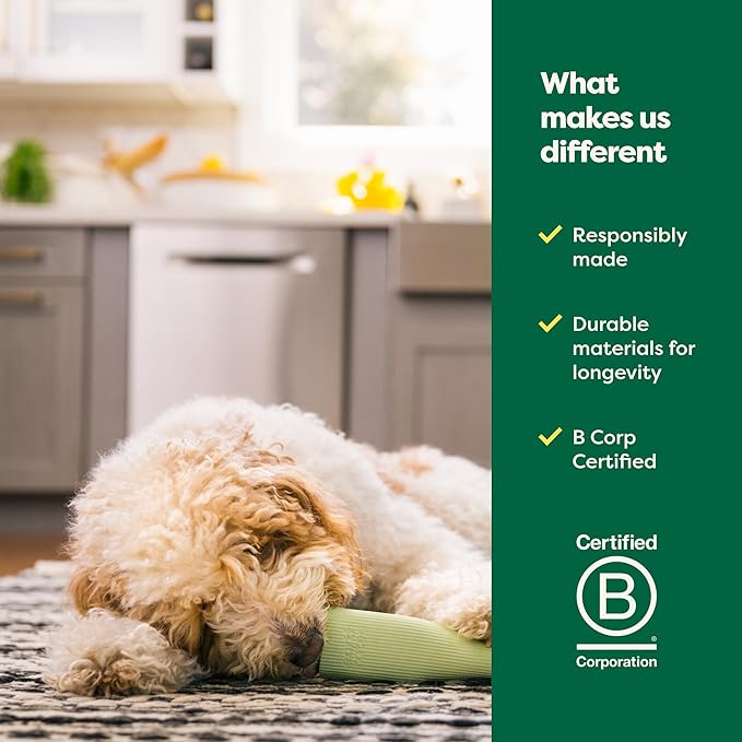 Earth Rated Dog Toy, Enrichment Toy for Adult and Puppy Dogs, Dishwasher and Freezer-Safe, Natural Rubber, Large, Green