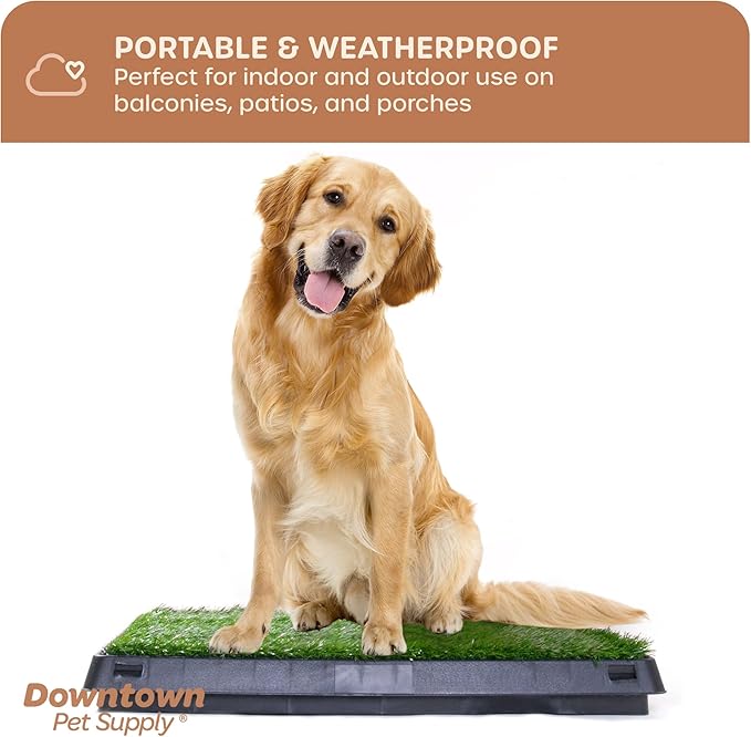 Downtown Pet Supply Dog Grass Pad with Tray, 20 x 30 w/Drawer - Outdoor and Indoor Potty System for Dogs with Replaceable Synthetic Grass Pee Turf - Portable and Waterproof Turf Dog Potty
