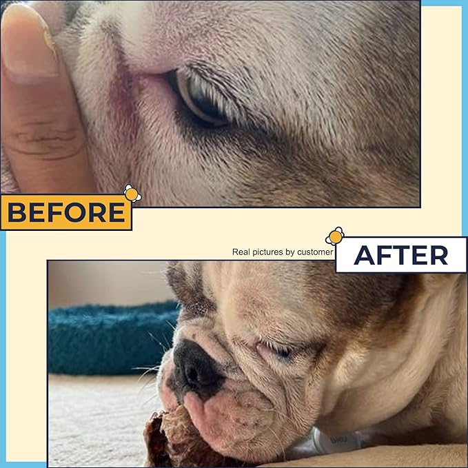 Wrinkle Wipes for English Bulldog,French Bulldog,Pug(Alcohol Free)- Dog Face Wipes For Wrinkles,Tail Pockets- Wrinkle Wipes Frenchie Bulldog. Say Bye to Rash Using It With Wrinkle Paste For Bulldogs