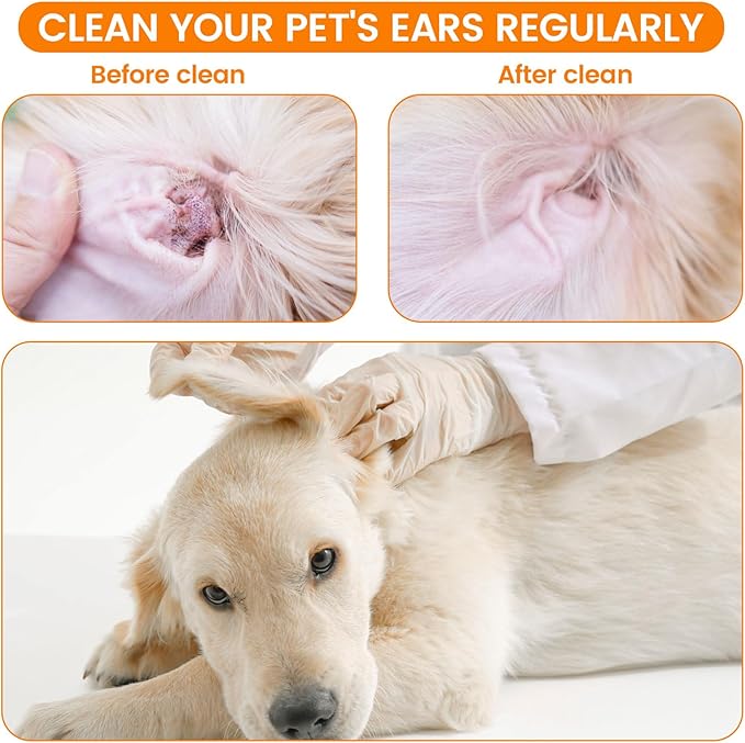 200 PCS Large Cotton Swabs in Storage Box - Dog Ear Cleaning Swabs, 6 inch Dog Ear Swab with Bamboo Handle - Big Cotton Swabs Soft and Thick, Extra Large Cotton Swabs Specially Designed for Pet Care