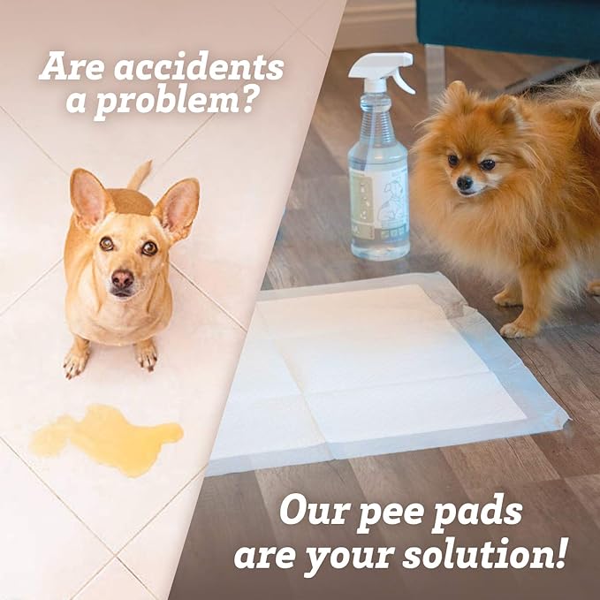 Paws & Pals Leak-Proof Potty Training Pee Pads for Dogs and Puppies, Large - 22x22 Disposable, 150 Count