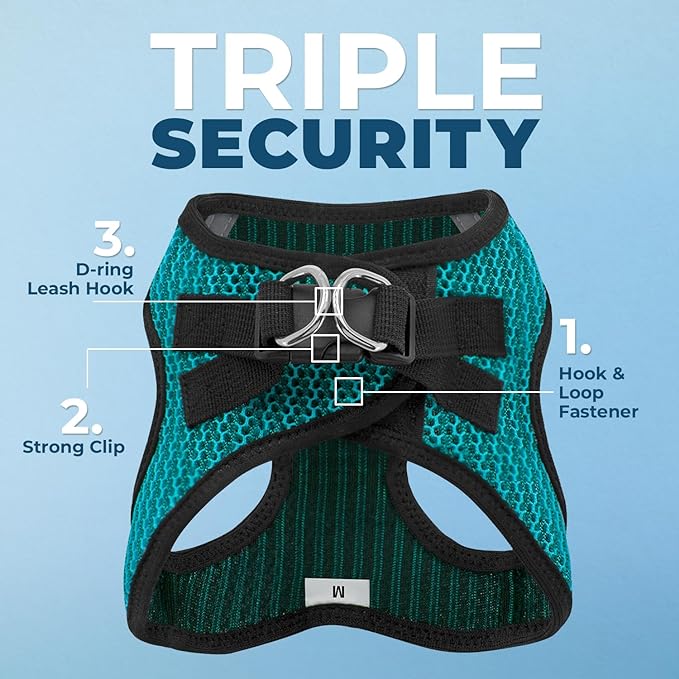 Voyager Step-in Air Dog Harness - All Weather Mesh Step in Vest Harness for Small and Medium Dogs by Best Pet Supplies - Turquoise (2-Tone), L