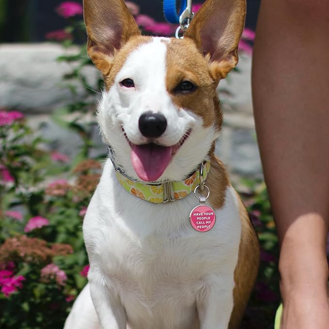 MYLUCKYTAG QR Code Pet ID Tags Dog Tags - Pet Online Profile - Scan QR Receive Instant Pet Location Alert Email