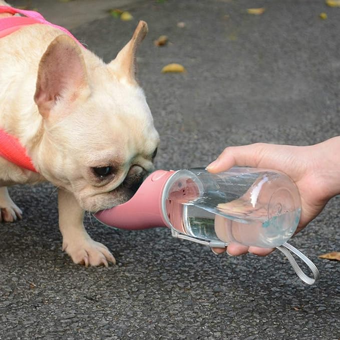 Dog Water Bottle, Leak Proof Portable Pet Water Bottles for Dogs, Puppy Water Dispenser with Drinking Feeder for Travel (Cherry Pink 19oz)
