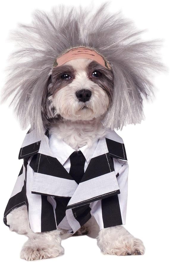 Rubie's Beetlejuice Pet Costume, Small