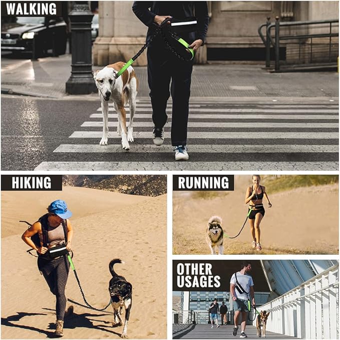 Plutus Pet Hands Free Dog Leash, Soft Padded Dual Handle Retractable Bungee Leash with Reflective Stitches, Adjustable Wasit Leash for Dog Walking Running Jogging, for Medium Large Dogs