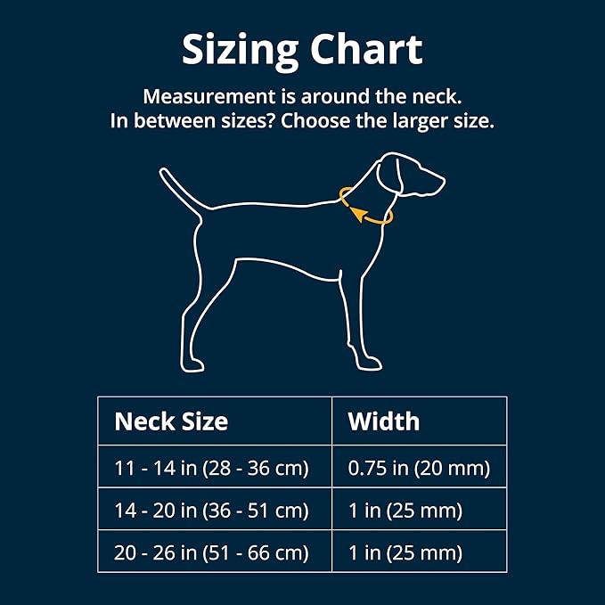 Ruffwear, Crag Dog Collar, Reflective and Comfortable Collar for Everyday Use, Canyon Oxbow, 14"-20"
