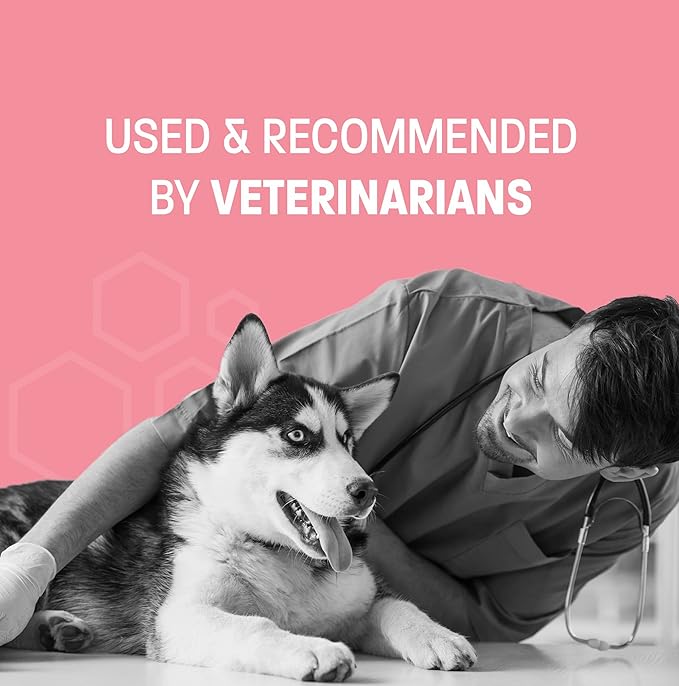Dog Probiotic Chews for Dogs - Support Healthy Digestion Dog Probiotics and Digestive Enzymes for Gut Health for Dogs - for Traveling, Kenneling and Training - Large/Giant Dog - 30 ct
