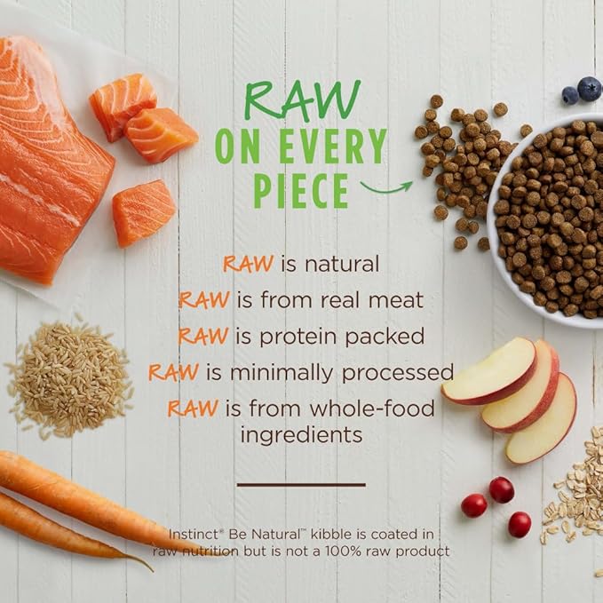 Real Salmon & Brown Rice Recipe Natural Dry Dog Food, 24 lb. Bag