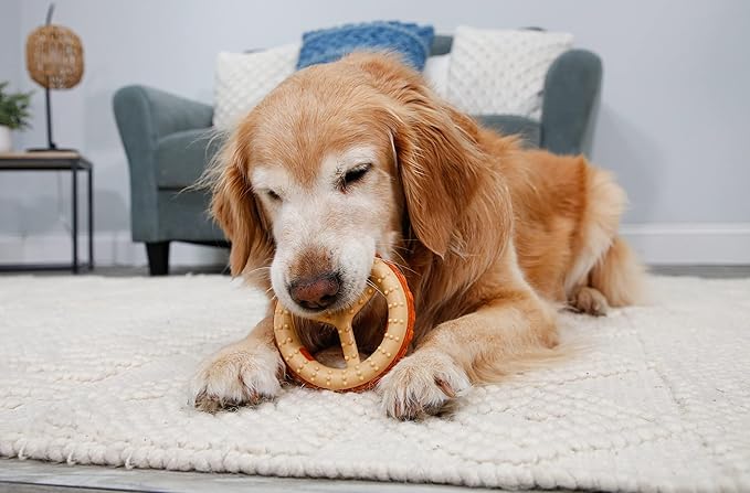 Hartz Chew ‘n Clean Chew Toy and Treat in One Chicken Flavored Ring Dog Toy, Medium