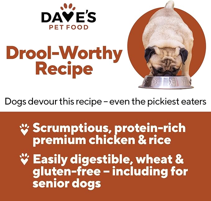 Dave's Pet Food Wet Dog Food (Chicken & Rice), Made in USA Naturally Healthy Canned Dog Food, Added Vitamins & Minerals, Wheat & Gluten-Free, 13.2 oz Cans (Case of 12 pk)