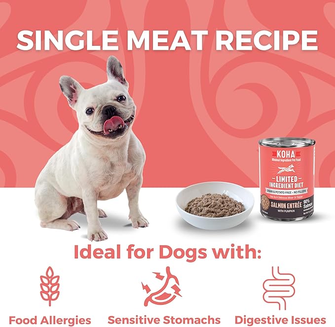 KOHA Limited Ingredient Diet Salmon Entrée for Dogs - Dog Food Toppers for Picky Eaters - Sensitive Stomach Canned Dog Food - Pate Dog Food - 13 oz Pack of 12