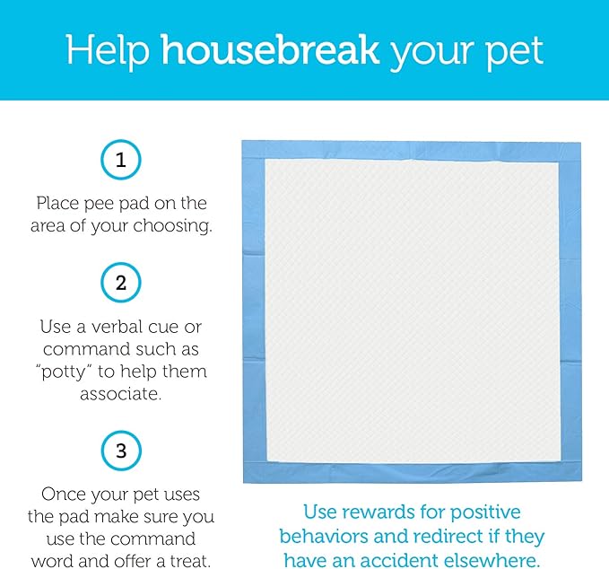 Paws & Pals Leak-Proof Potty Training Pee Pads for Dogs and Puppies, Large - 22x22 Disposable, 150 Count