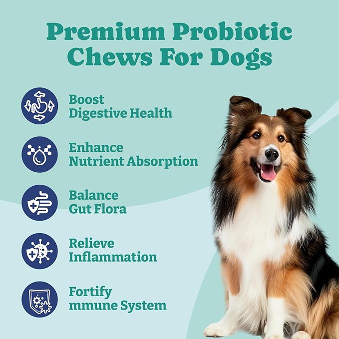 Probiotics for Dogs, Dog Probiotics and Prebiotic with Enzymes, for Gut and Digestive Health, Support Immune System, Chicken Flavor, 120 Soft Chews