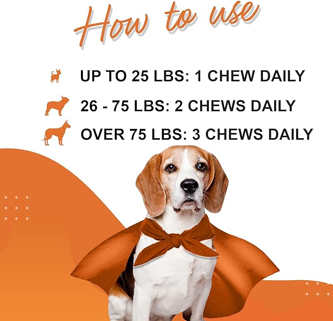 Probiotics for Dogs – Daily Probiotic Supports Gut Health, Digestion, Gas, Bloating, Constipation, Stomach Relief & Immune Support - With Natural Probiotic & Prebiotic – 90 Probiotic Chews