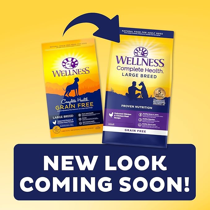 Wellness CORE Grain-Free High-Protein Large Breed Dry Dog Food, Natural Ingredients, Made in USA with Real Chicken (Adult Dog, 24-Pound Bag)
