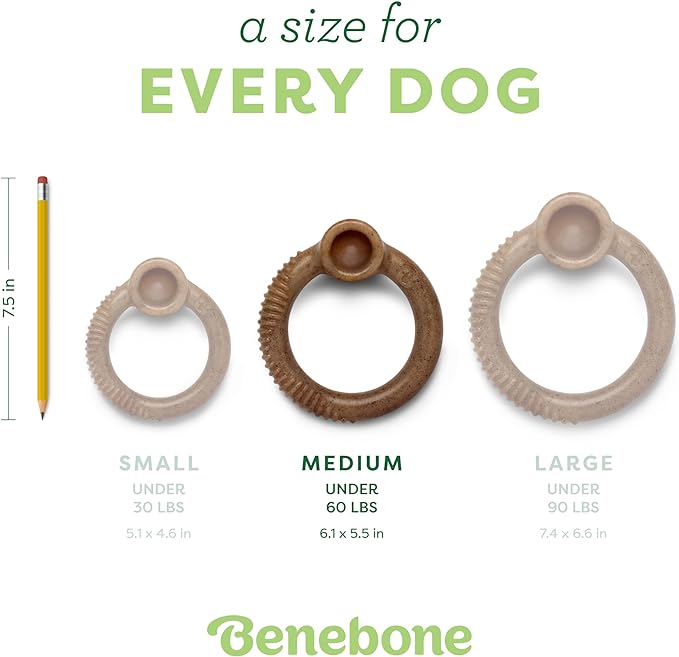 Benebone Ring Durable Dog Chew Toy for Aggressive Chewers, Real Bacon, Made in USA, Medium