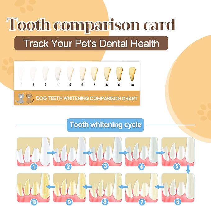 Premium Pet Toothbrush Set for Cats and Dogs - Complete Oral Care with Soft Bristles - Ideal for Teeth Cleaning, Dental Hygiene, Plaque Removal - Veterinarian Recommended-White