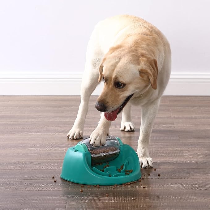 Nina Ottosson by Outward Hound Dog Spin N' Eat Interactive Dog Food Puzzle Slow Feeder, Level 2 Intermediate Dog Enrichment Toy, Green