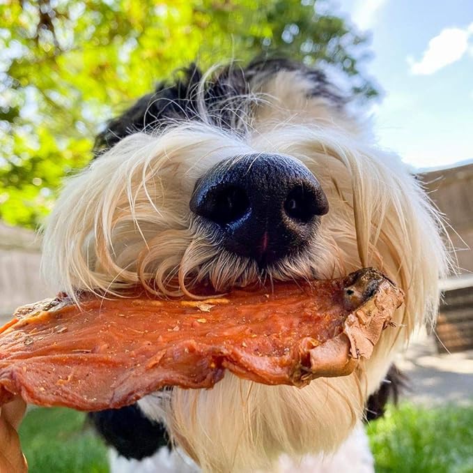 Sweet Potato Slices For Dogs - Single Ingredient Grain Free Dog Treats, Best High Anti-Oxidant Healthy 100% Natural Thick Cut Dried Sweet Potato Dog Treats With No Added Preservatives (14oz)