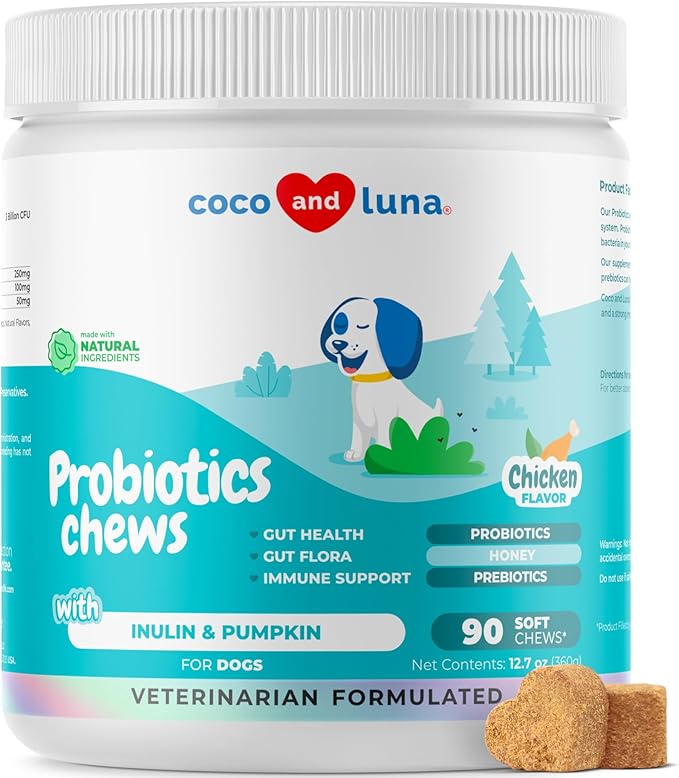 Probiotics for Dogs - 90 Soft Chews - Diarrhea & Gas Support for Dogs - with Honey, Pumpkin and Prebiotics for Dog Allergies, Bad Dog Breath & Constipation Support (Soft Chews)