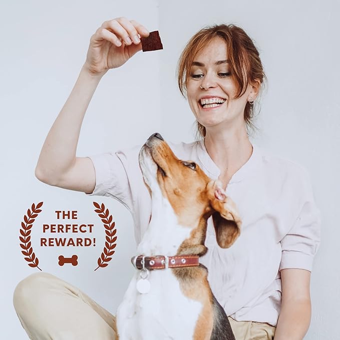 Beef Jerky Square Dog Treats 15 Oz Pack All-American Slow Roasted Beef Training Treats for Dogs - Healthy & Delicious Beef Jerky Dog Treats - A Must-Have Reward Snack for Dogs