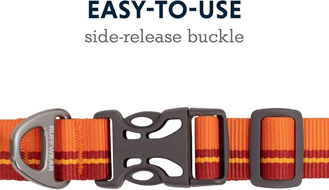 Ruffwear, Flat Out Dog Collar (Formerly Hoopie), Webbing Collar for Walking and Everyday Use, Autumn Horizon, 11"-14"