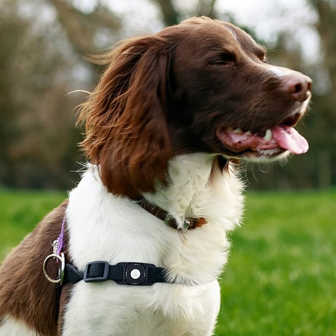 Pelican Protector Airtag Dog Collar Holder - Waterproof & Anti-Scratch AirTag Holder Dog Tag - Rugged Airtag Case for Dog Collar - Pet Collar Airtag Loop - Compatible with Cat / Dog Collar - Black