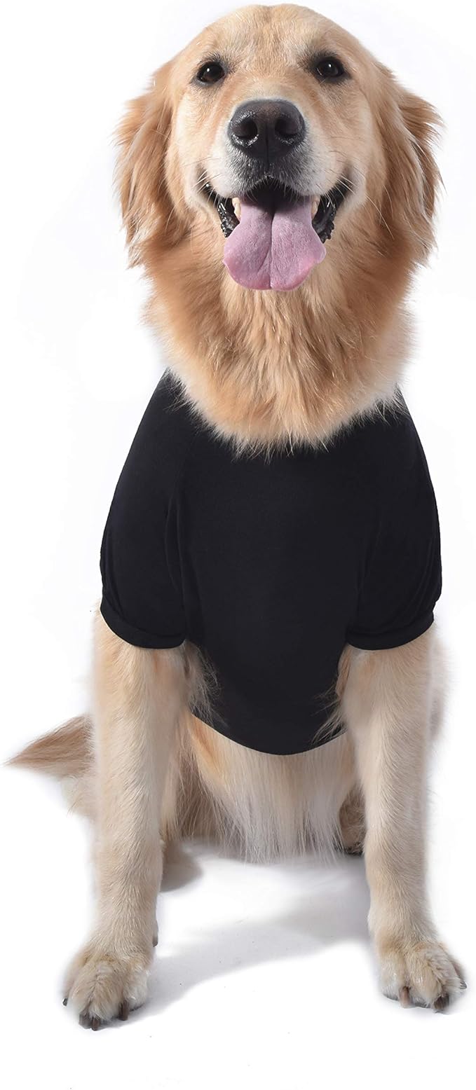 Star Wars for Pets Mentally I'm in A Galaxy Far, Far, Away Dog Tee | Black Star Wars Dog T-Shirt | Soft Dog Shirt, X-Large | Adorable Dog Clothing and Apparel (Pack of 2)