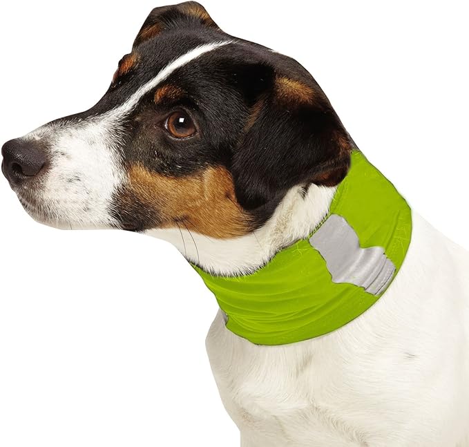 Reflective Pet Gaiter with Insect Protection for Protecting Dogs from Fleas, Ticks, & Mosquitoes, Green, Small