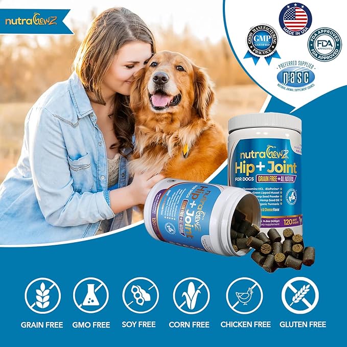 Grain Free Hip & Joint Supplement for Dogs with Organic Hemp Oil, Glucosamine Chondroitin, Turmeric, MSM, Green Lipped Mussel for Arthritis, Pain Relief, Mobility All Natural - 120 Chews