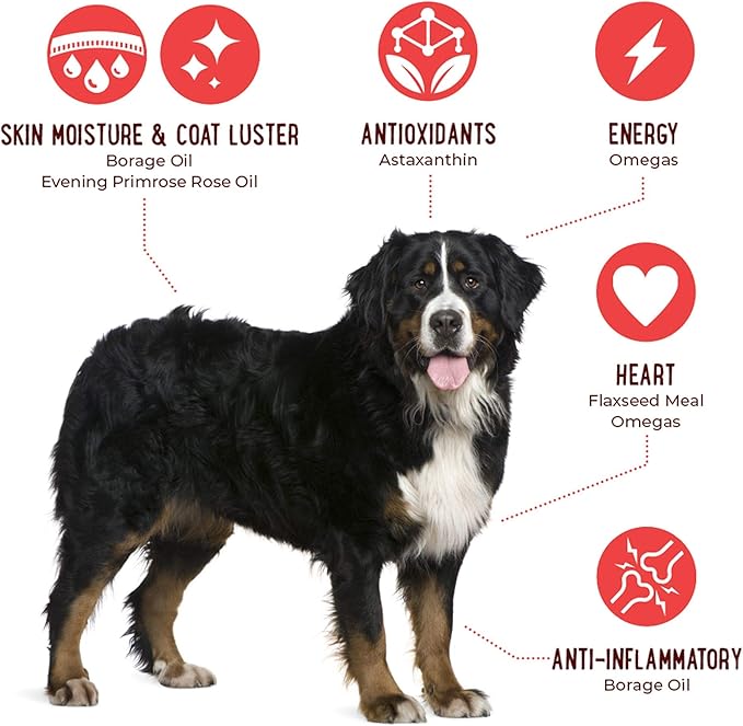 iHeartDogs Omega 3-6-9 for Dogs - Skin and Coat Fish Oil Supplement for Dogs with Pure Antarctic Krill Oil - Allergy & Itchy Skin Relief Chews, 120 Count