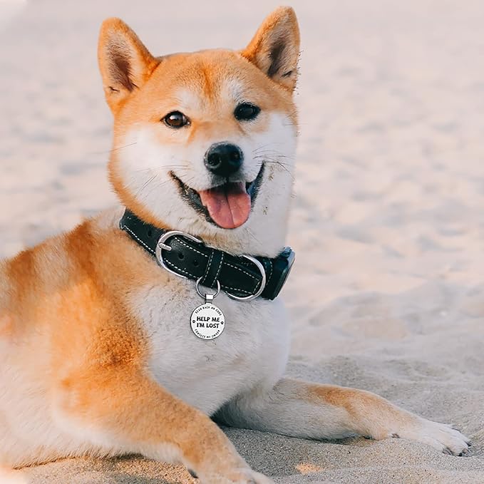 MYLUCKYTAG QR Code Pet ID Tags Dog Tags - Pet Online Profile - Scan QR Receive Instant Pet Location Alert Email
