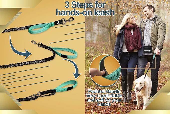 SparklyPets Hands Free Dog Leash for Medium and Large Dogs – Professional Harness with Reflective Stitches for Training, Walking, Jogging and Running Your Pet (Premium Teal, for 1 Dog)