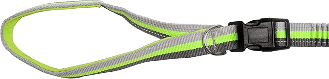 Furhaven Bungee Dog Leash w/ Quick Release Easy Tether - Volt Stripe, One Size