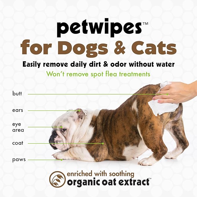 Petkin Mega Val-Pak Pet Wipes, 125 Wipes - Oatmeal Pet Wipes for Dogs and Cats - for Face, Paws, Ears, Body and Eye Area - Super Convenient Dog Cleaning Wipes, Ideal for Home or Travel - Easy to Use