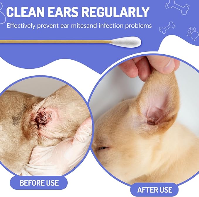 200pcs Large Cotton Swabs in Storage Box, 6 Inch Long Cotton Swabs with Bamboo Handle for Dogs - Professional Dog Ear Swabs, Big Cotton Swabs, Specially Designed for Dogs, Cleaning Solution