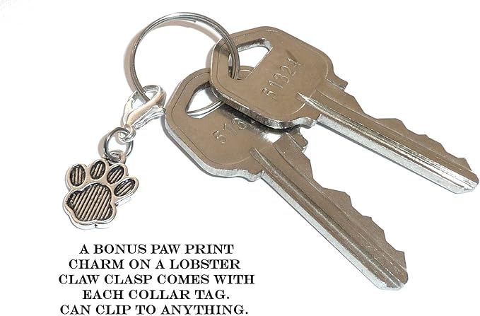 Hidden Hollow Beads Custom Pet Dog and Cat Tags, Funny Cute Sayings for Your Pet's Collar. for Pet Lovers. (What Happens at The Dog Park, Stays at The)
