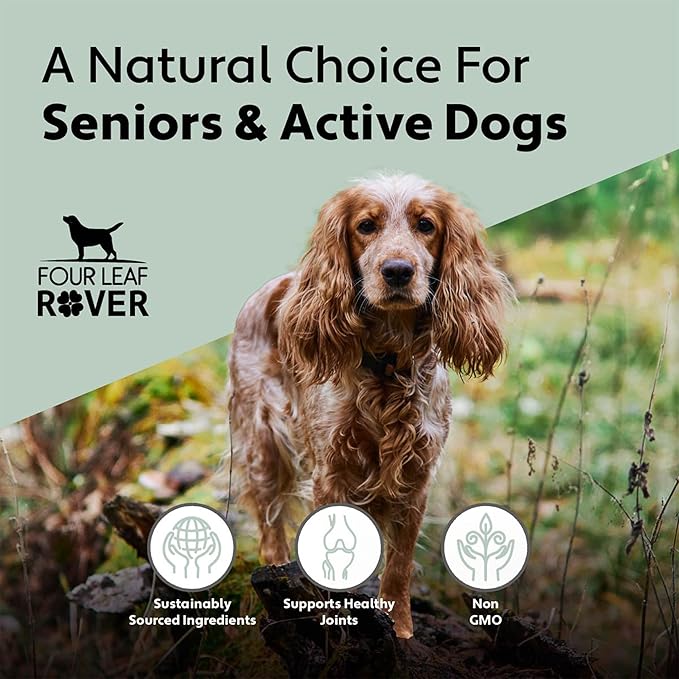 Hip & Joint - Mobility & Joint Support with Glucosamine and Chondroitin for Dogs, 2.4 oz - 22 to 60 Day Supply, Depending on Dog’s Weight - Vet Formulated - Easy to Mix - Delicious