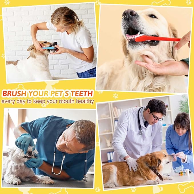 300 Pcs Pet Toothbrush Bulk Dog Double Sided Brushes Puppy Tooth Brushing Kit Soft Bristles Long Handle Dog Tooth Brush for Small Dog Cat Puppy Teeth Cleaning Oral Dental Care Supplies (10 Colors)