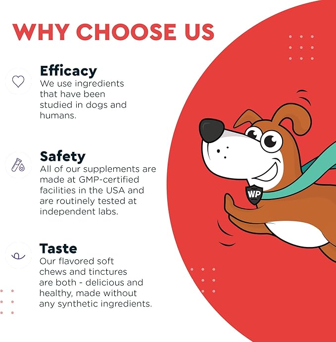 Cardio Support for Dogs – Cardiovascular Chews Heart Health, Circulation, Energy & Weight Management - with L-Carnitine, Hawthorn Berry, Coenzyme Q10 & Taurine for Dogs – 90 Soft Chews