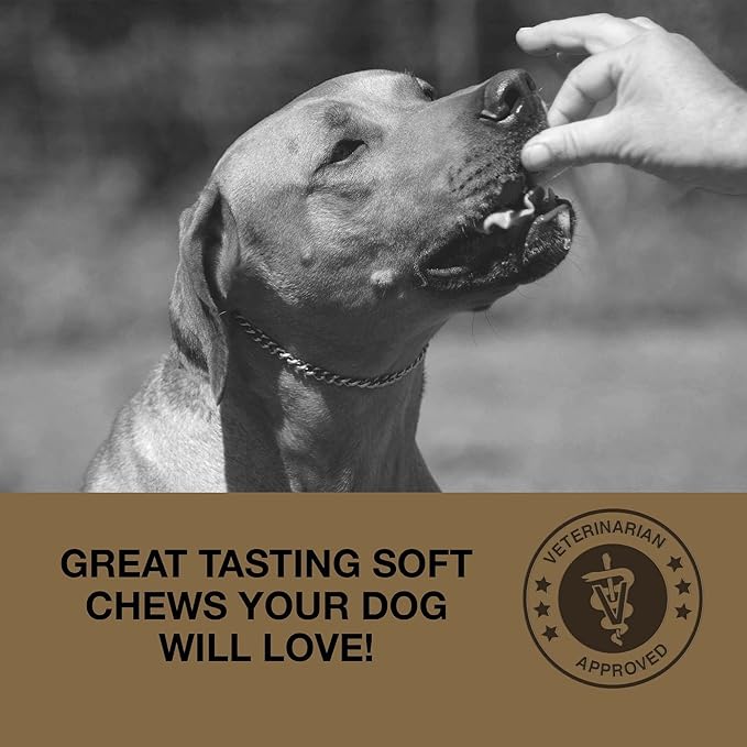 Deter-X Dog Poop Eating Deterrent - Chew Treats for Poo Eating Prevention - Yucca, Parsley, Chamomile, Digestive Enzymes, Prebiotics, Probiotics for Dogs - Puppy & Dog Stuff - 60 Bites