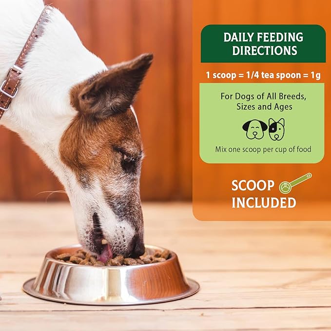 Probiotics for Dogs - Probiotic Powder for Dogs, Dog Probiotics for Immune and Digestive Health -120 Scoops Liver Flavored Probiotic supplement