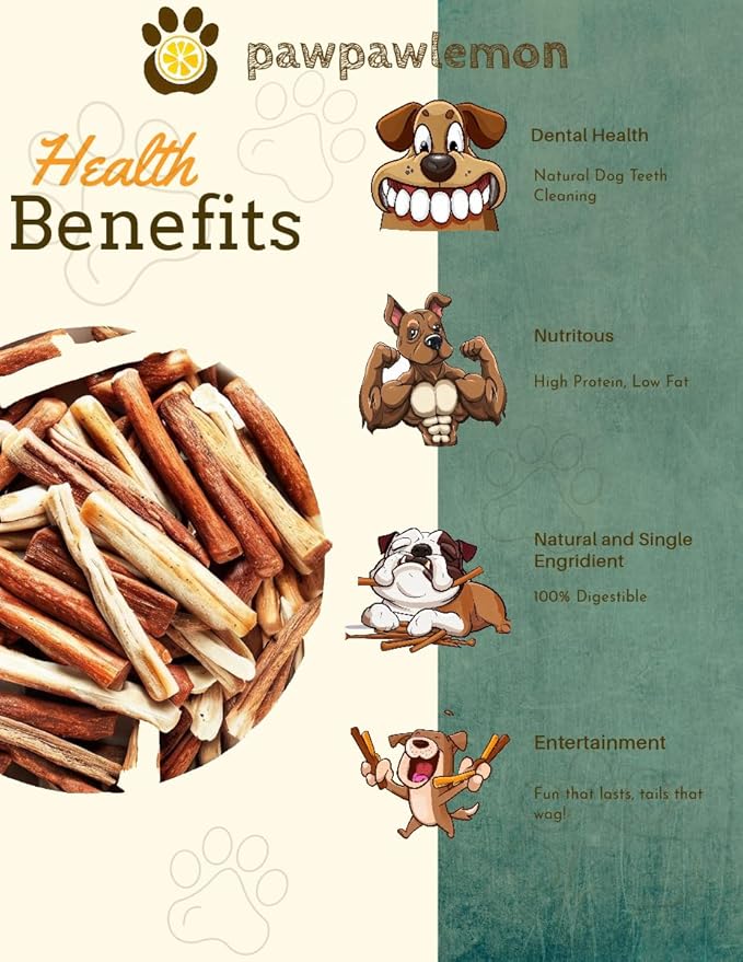 Bully Sticks for Dogs (6 inch Pack of 10) | Long Lasting Natural Dog Chew | Single Ingredient 100% Beef Pizzle | Packed in The USA | Standard Thickness